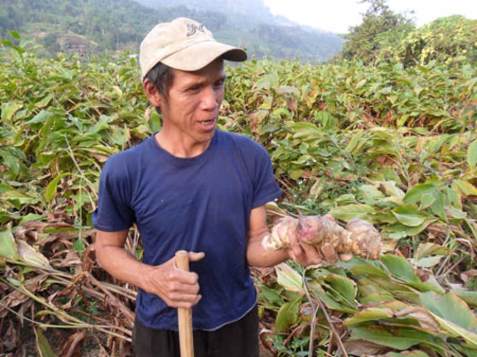 30000 ho nong dan vung dong bac duoc ho tro tai chinh tu ifad