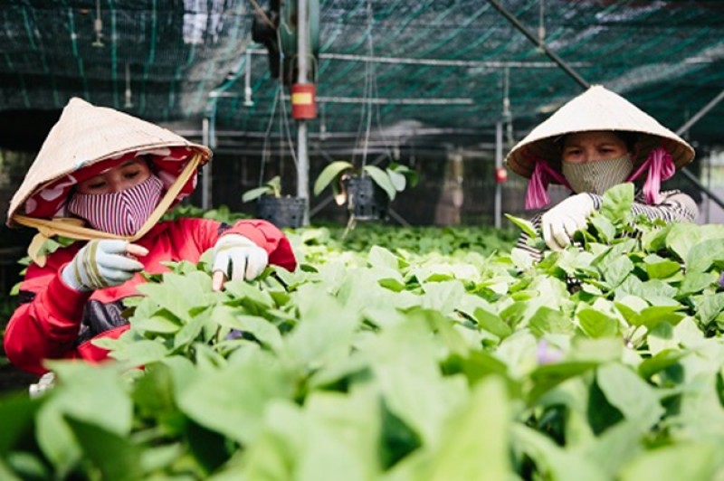 huong toi nguoi thu nhap thap de phat trien ben vung