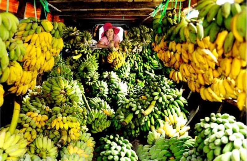 asean tang luong xuat khau sang nga