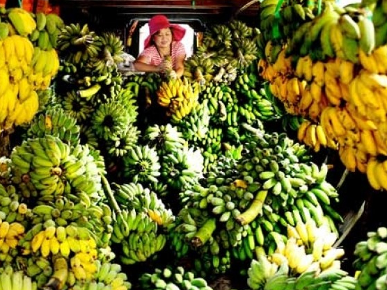 asean tang luong xuat khau sang nga