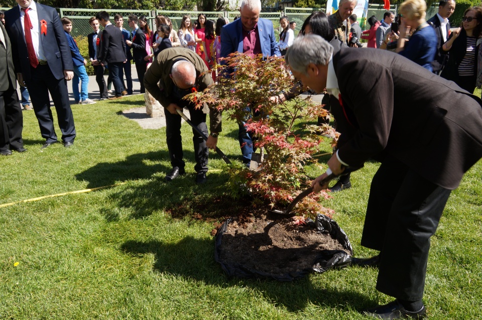 truyen thong trong cay de nho on nguoi tai ukraine