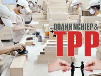 tpp va thach thuc voi suc khoe cong dong