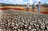 hang nghin di chi khao co o bac cuc dang chim dan
