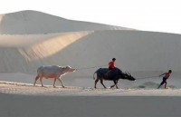 nhieu khu vuc tren ca nuoc tiep tuc mua to den rat to