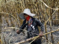 dong tien cua thai lan co the tiep tuc tang gia trong nam 2018