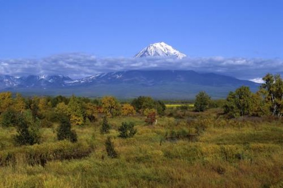 nga cap dat mien phi de phat trien vung vien dong
