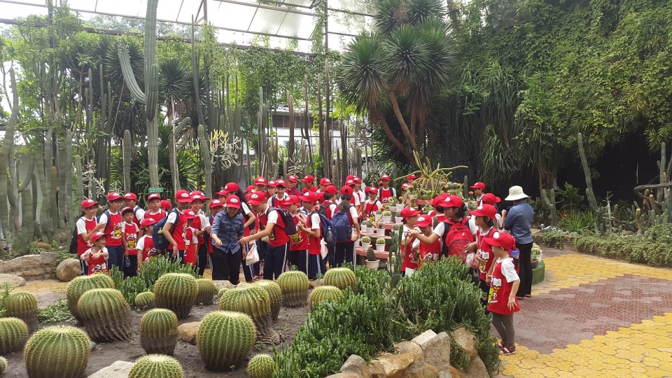 am long truoc nu cuoi hiem hoi cua nhung em be duong pho