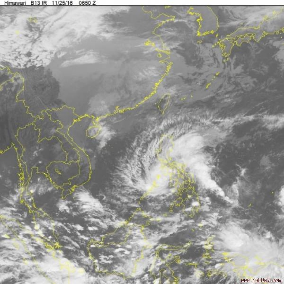 bao tokage vao bien dong huong di phuc tap