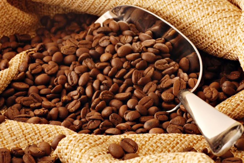 viet nam huong toi thuc day phat trien chuoi gia tri nong nghiep toan dien va ben vung