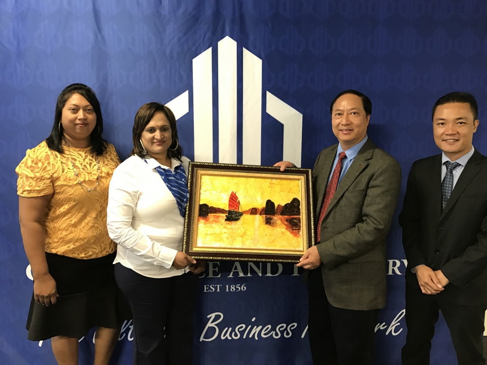 thuc day hop tac dau tu thuong mai va du lich viet nam nam phi