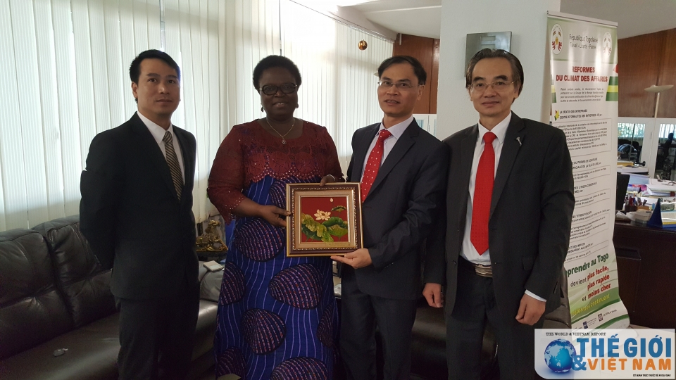 se xay dung kenh trao doi thong tin ho tro doanh nghiep viet nam togo