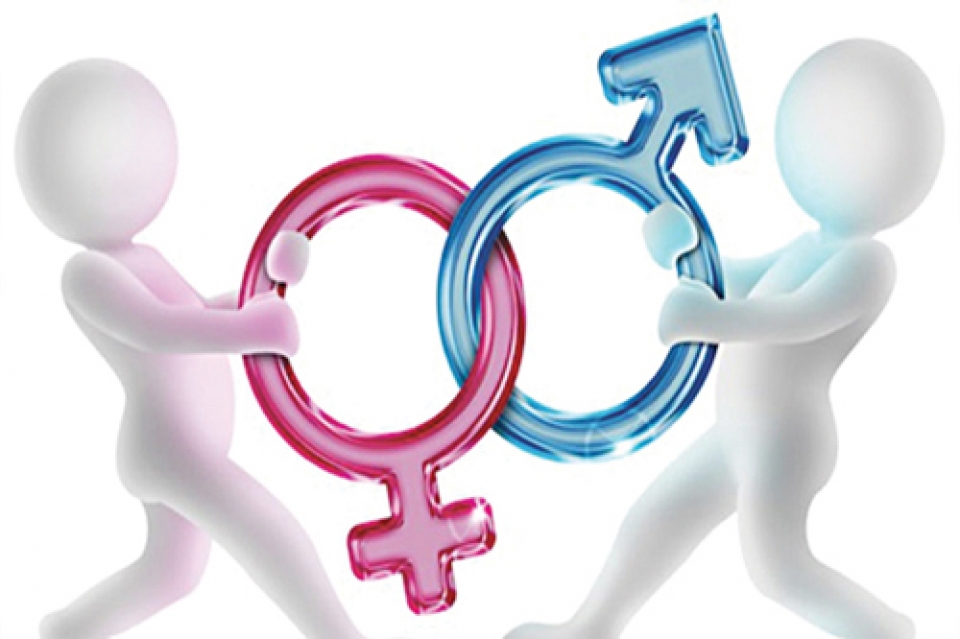 2019 hang loat luat moi chi co tren dat my