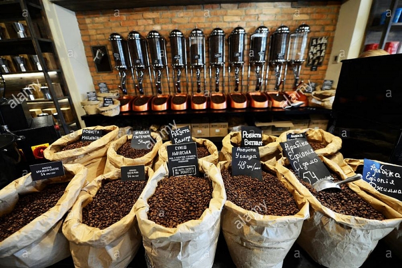 Giá cà phê hôm nay 8/1: Giảm tiếp , Phần thưởng cho người kiên trì?