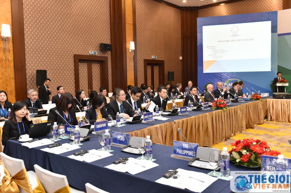 apec cung hanh dong chong hanh vi gian lan thue