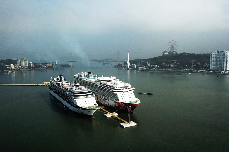 tin nhap 20190213174757