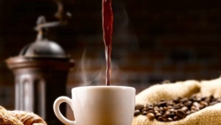 今日のコーヒー価格7月20日：わずかに調整、投機筋は慎重。 年末まで輸出は難しい