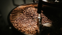 Giá cà phê hôm nay 24/2: Giá cà phê lên nhanh, xuống mạnh; thị trường tăng mạnh trong tháng nhờ tồn kho thấp kỷ lục