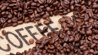 Giá cà phê hôm nay 18/8: Tiếp nối xu hướng tiêu cực, người tiêu dùng Mỹ vẫn chi tiêu mạnh, cà phê được mùa?