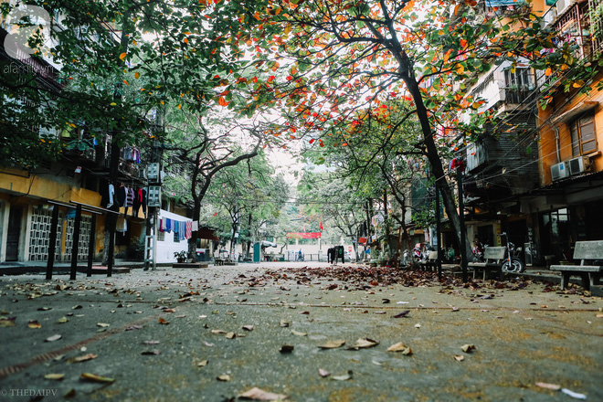 Dự báo thời tiết 10 ngày tới (đêm 26/2-8/3): Bắc Bộ có mưa rào, có nơi có dông, trời chuyển rét; miền Đông Nam Bộ có nơi nắng nóng