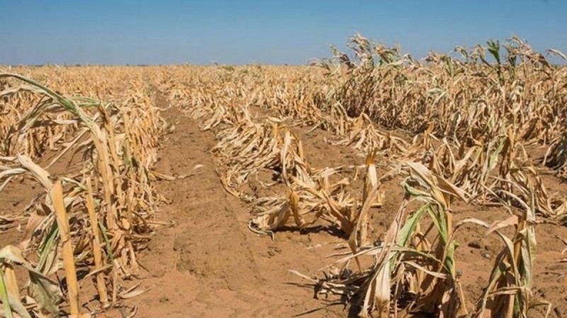 lien hop quoc canh bao tinh trang thieu luong thuc