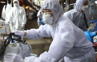 cap nhat 7h ngay 163 so ca nhiem tai chau au tang chong mat them nhieu nuoc dong cua bien gioi ap dung bien phap cung ran