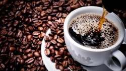 Giá cà phê hôm nay 21/5: Đỏ sàn, robusta chính thức trượt ngưỡng 1.500 USD, dù xu hướng tăng vẫn chiếm ưu thế
