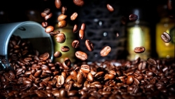 Giá cà phê hôm nay 20/4: Robusta tăng cầm chừng; Tồn kho arabica lên mức cao nhất 12 tháng; Giai đoạn điều chỉnh tiếp tục?