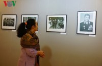 nhung buc anh doc dao danh lua thi giac nguoi xem