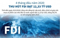 Thu hút đầu tư nước ngoài đạt 12,33 tỷ USD trong mùa dịch Covid-19