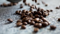 Giá cà phê hôm nay 4/3: Giá cà phê tiếp tục giảm, xung đột Nga-Ukraine 'nóng' nhưng không bằng lạm phát