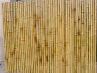 cong ty uzbekistan tim doi tac linh vuc det may