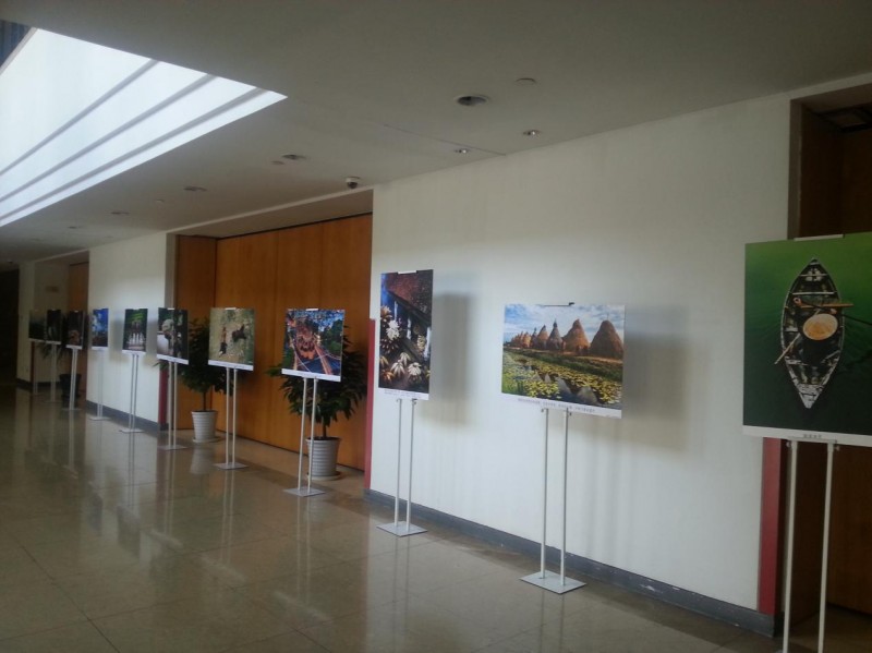 dua van hoa dac sac viet nam den thuong hai