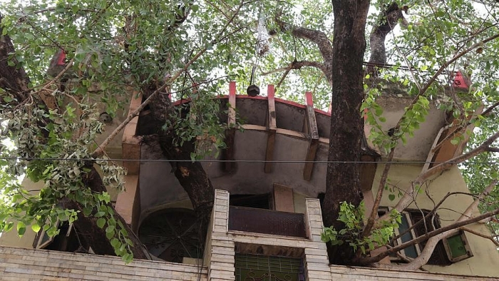 Ngôi nhà độc đáo của những người yêu thiên nhiên la mat ngoi nha xay quanh than cay khong lo 150 nam tuoi