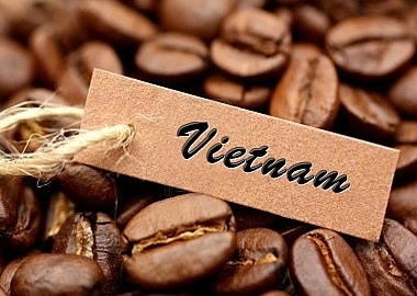 Giá cà phê hôm nay 15/6: (Nguồn: Brandsvietnam)