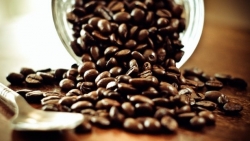 Giá cà phê hôm nay 18/8: Arabica rớt giá thảm, 'bóng ma Delta' ám thị trường tiêu thụ