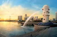 hoc gi tu tinh than singapore