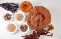 tim doi tac xuat khau hang nong san