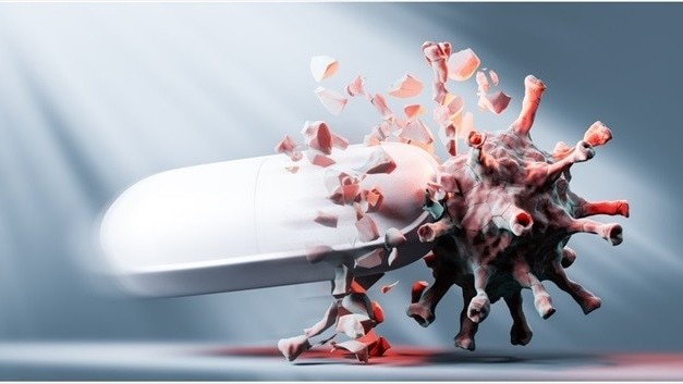 covid19 toi 2411 them 11811 ca mac moi trong 24 gio so ca tu vong tro lai 3 con so 5 cong ty noi muon san xuat thuoc dieu tri molnupiravir