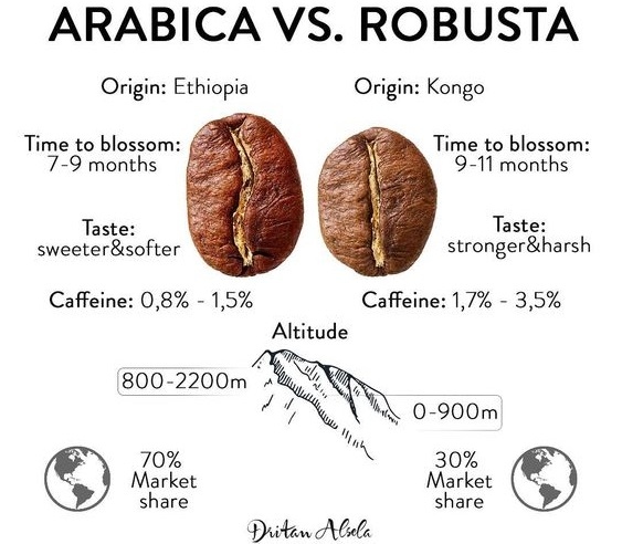 Giá cà phê hôm nay 25/7. (Nguồn: Dritan-alsela.com) Giá cà phê hôm nay 25/7. (Nguồn: Dritan-alsela.com)