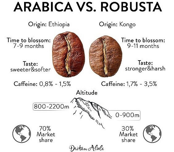 Giá cà phê hôm nay 25/7 Giá cà phê hôm nay 25/7