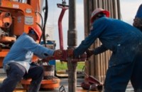 gia dau chau a dao dong gan muc cao cua chin tuan