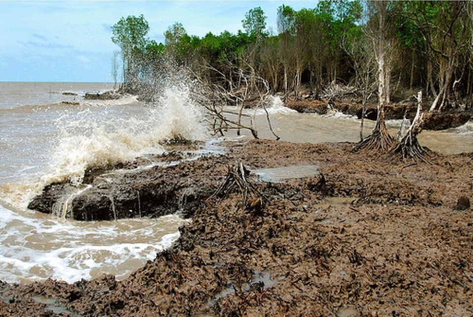 tin nhap 20161110213114