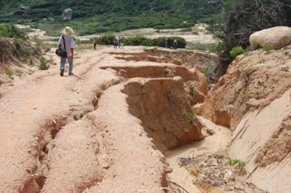 viet nam nhat ban hop tac thich ung voi bien doi khi hau