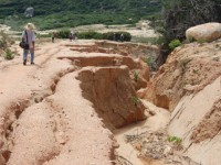 phu nu viet nam hanh dong vi bien doi khi hau