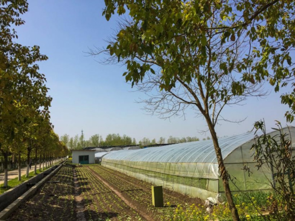 nguoi trung quoc cung so thuc pham trung quoc