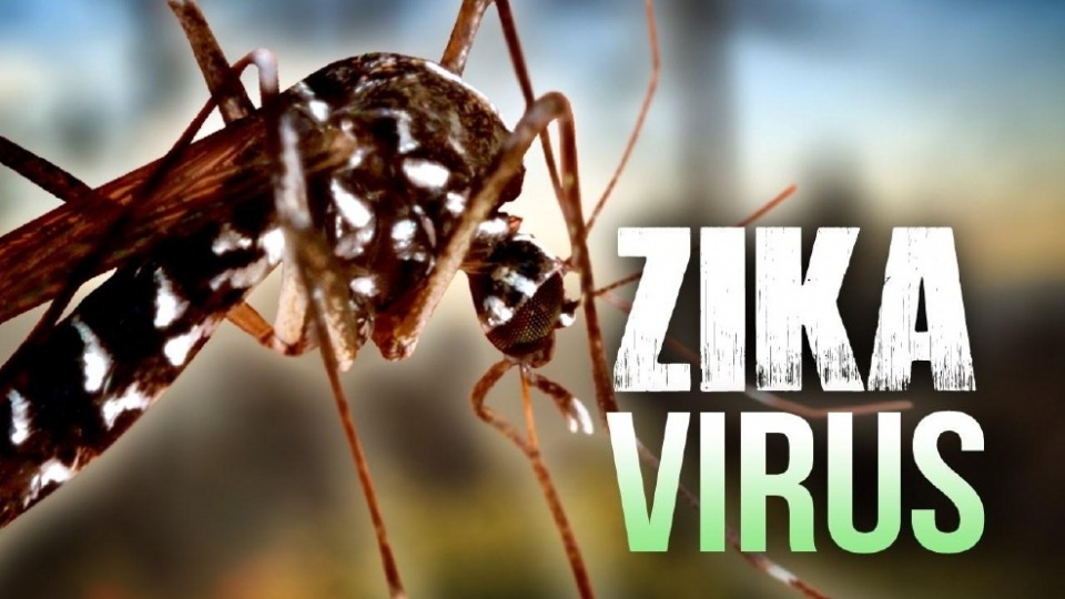 philippines so ca nhiem virus zika tiep tuc tang