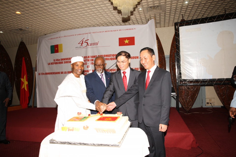 thuc day thuc chat hon quan he viet nam cameroon