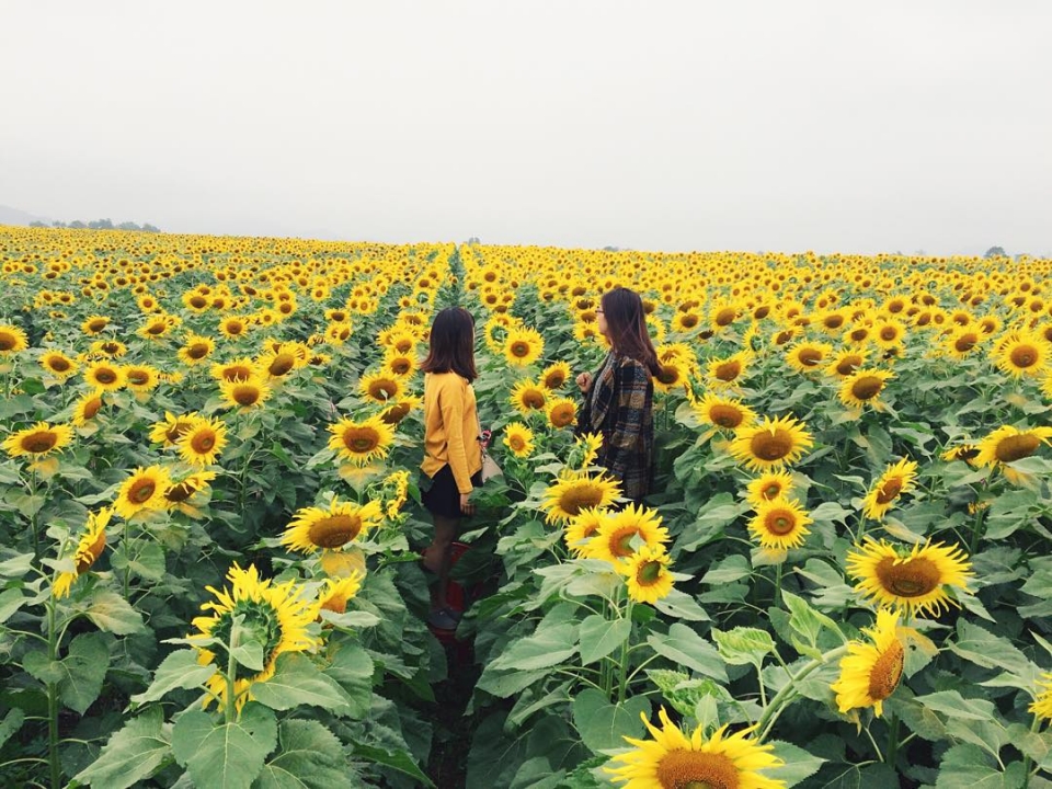 ve nghe an trai nghiem nhung dieu khac biet