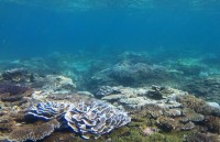 Trình UNESCO công nhận Lý Sơn là Công viên địa chất toàn cầu