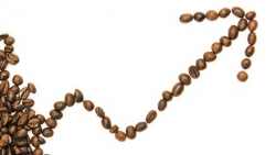 Giá cà phê hôm nay 26/1, Đảo chiều tăng vọt; Tiêu thụ của các thị trường lớn tiếp tục tăng và sức hấp dẫn của đối tác Mỹ